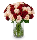 Bouquet of pink and red roses